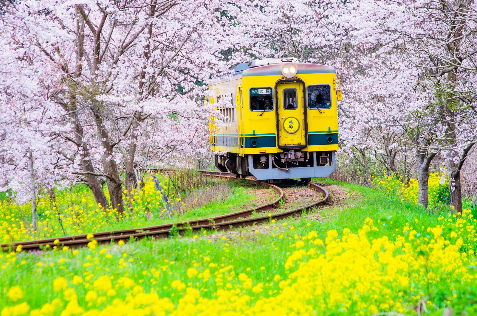 Chiba