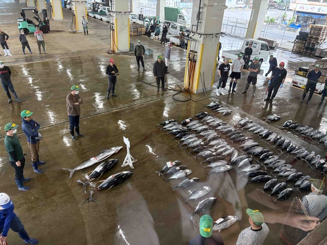 Wakayama in One Day: Watch tuna auction