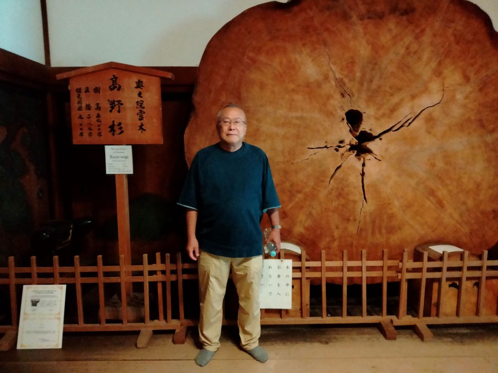 Wakayama in Half a Day: Stay at Garan & Stay at Kongobuji