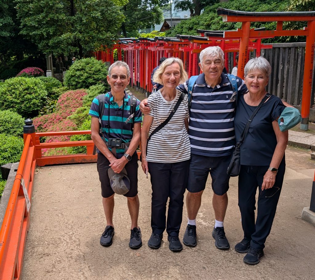 Tokyo in Half a Day: Tsukiji Market & Nezu Shrine