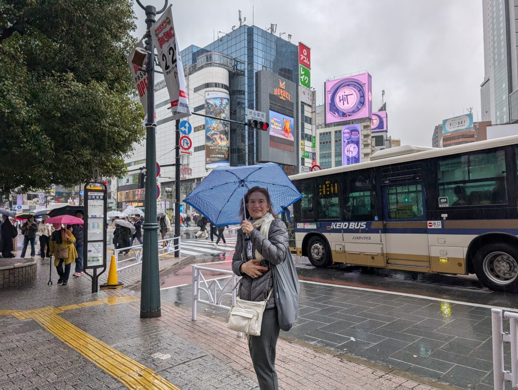 Tokyo Customized Half-Day Tour