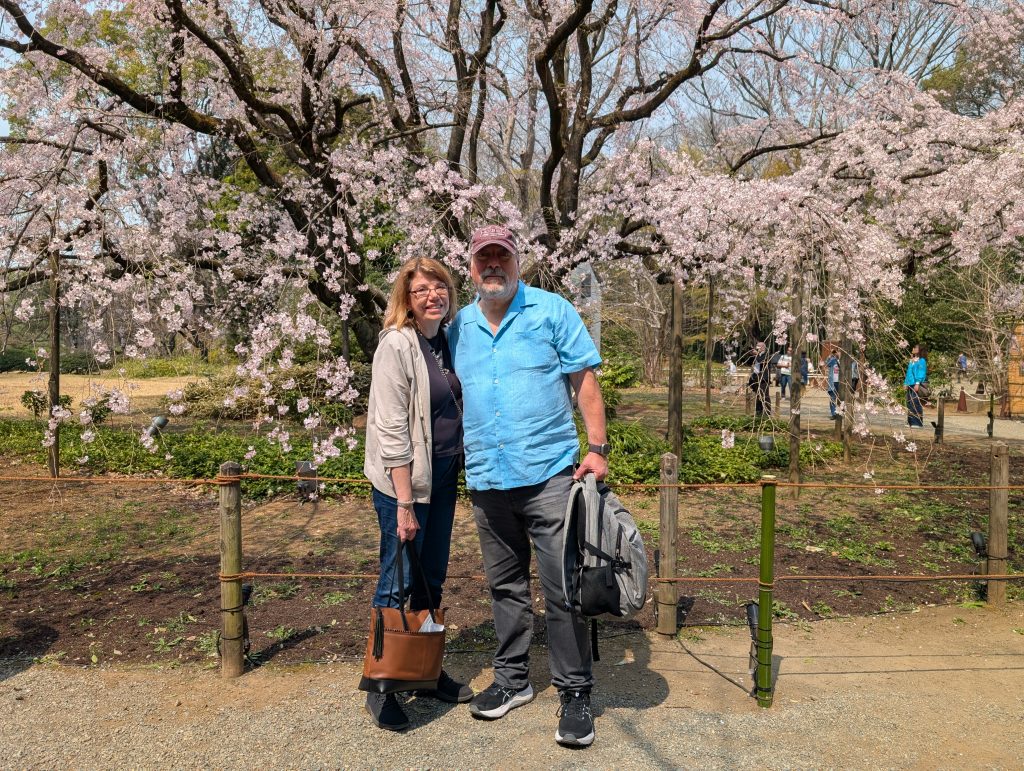 Tokyo Customized Private Tour in 1 Day