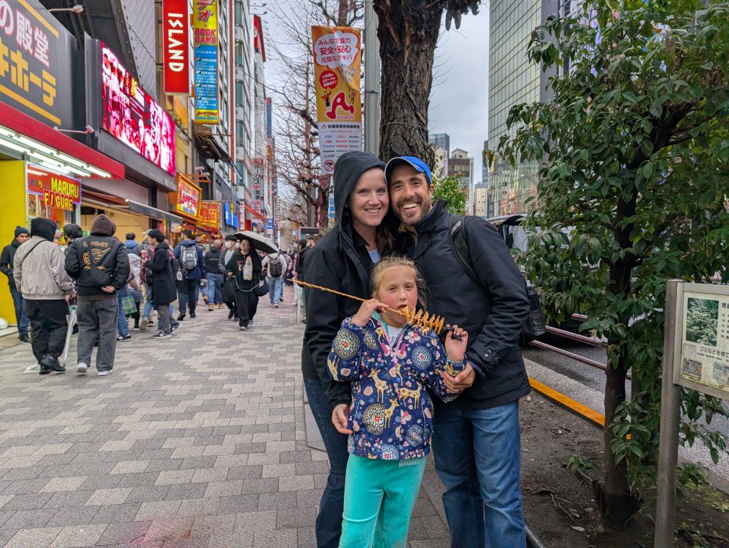 Tokyo Customized Half-Day Tour