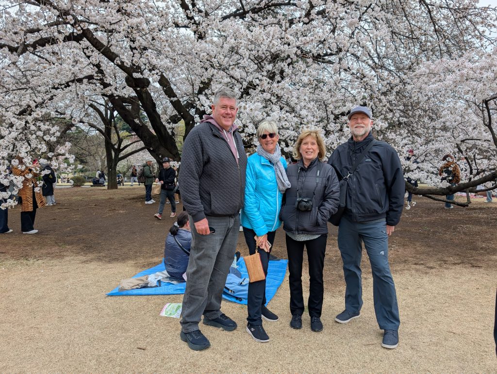 Tokyo Customized Private Tour in 1 Day