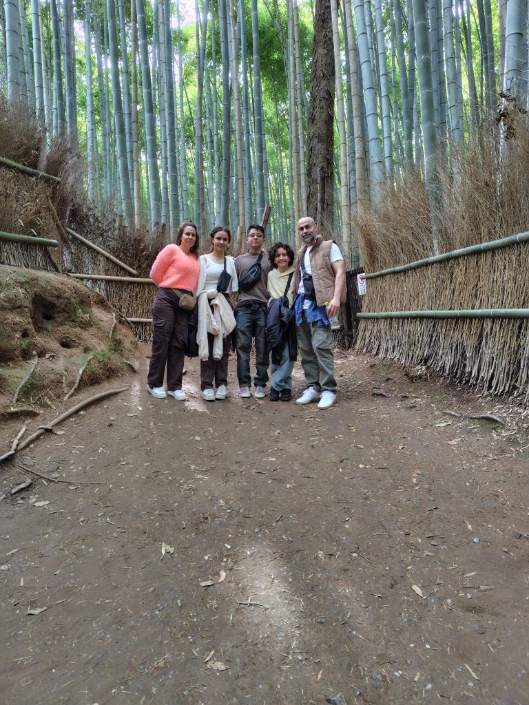 Kyoto: Kiyomizu-dera Temple & Kinkaku-ji Temple