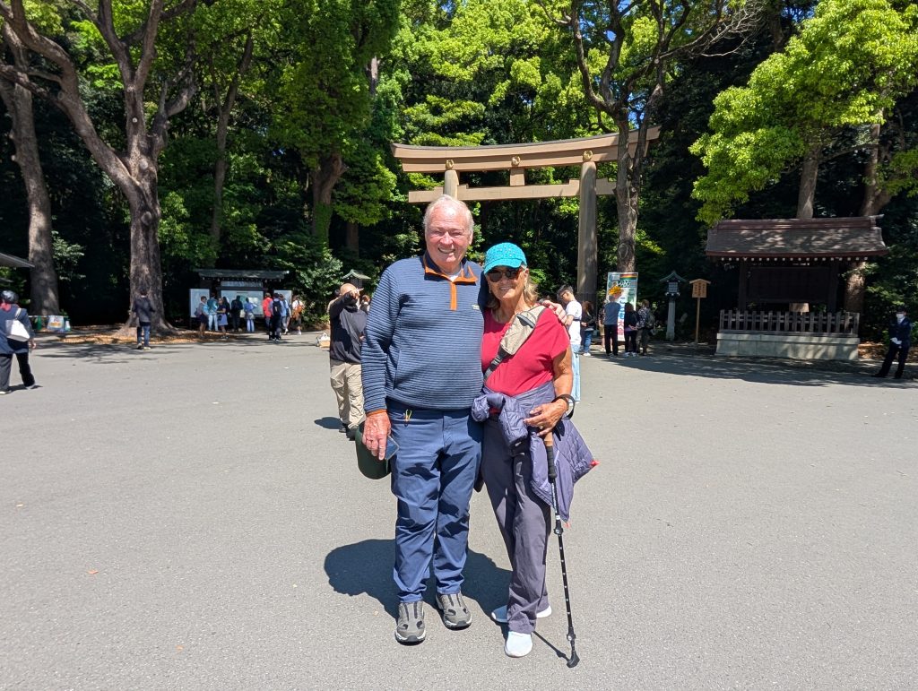 Tokyo Customized Private Tour in 1 Day