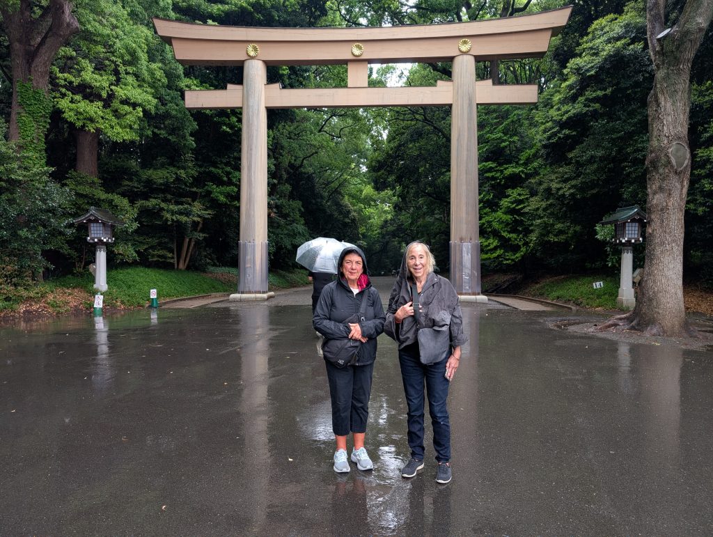 Tokyo Customized Half-Day Tour