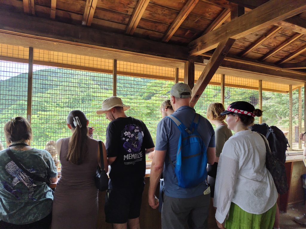 Kyoto in One Day: Arashiyama Monkey Park & Saka no Hotel