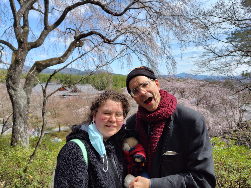 Kyoto in One Day: Adashino Nenbutsu-ji Temple & Taizo-in Temple