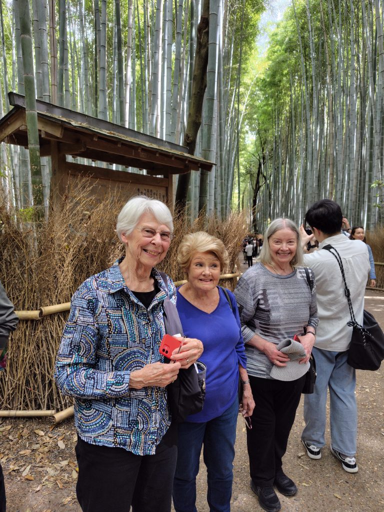Kyoto in One Day: Daikakuji Temple & Sanjusangendo