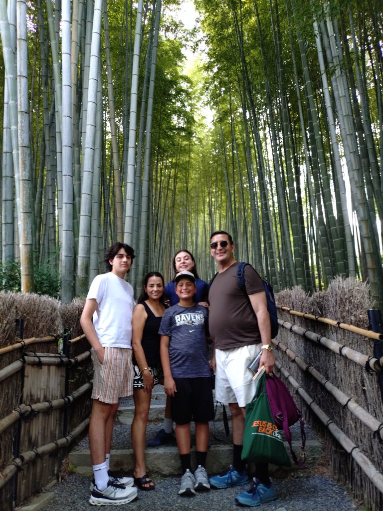 Kyoto in 1 Day from Osaka: Private Car Tour