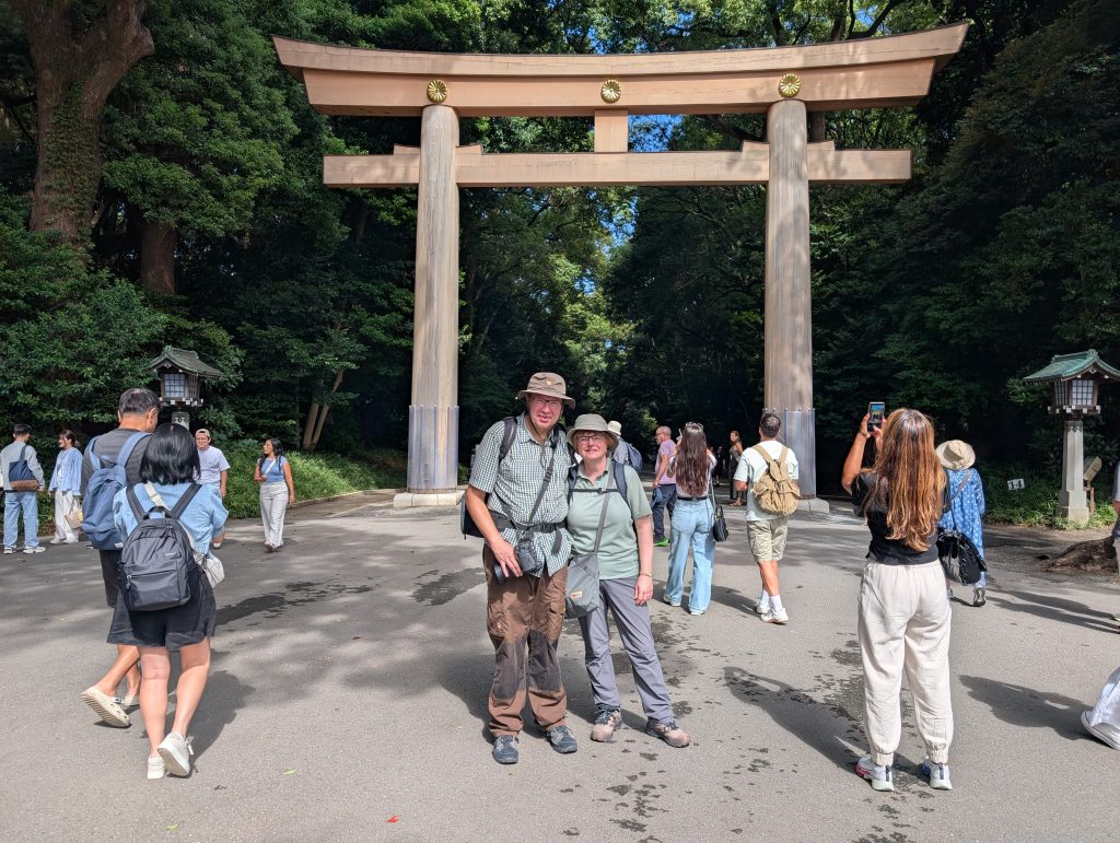 Tokyo Customized Private Tour in 1 Day