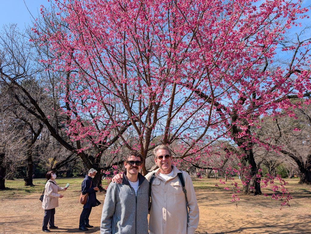Tokyo Customized Half-Day Tour