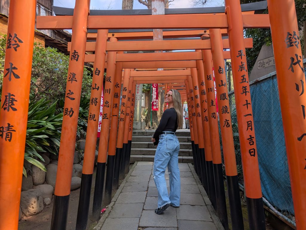 Tokyo Customized Private Tour in 1 Day