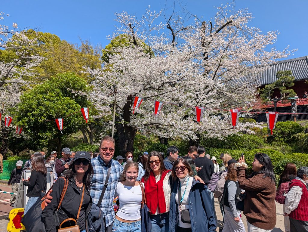 Tokyo Customized Private Tour in 1 Day