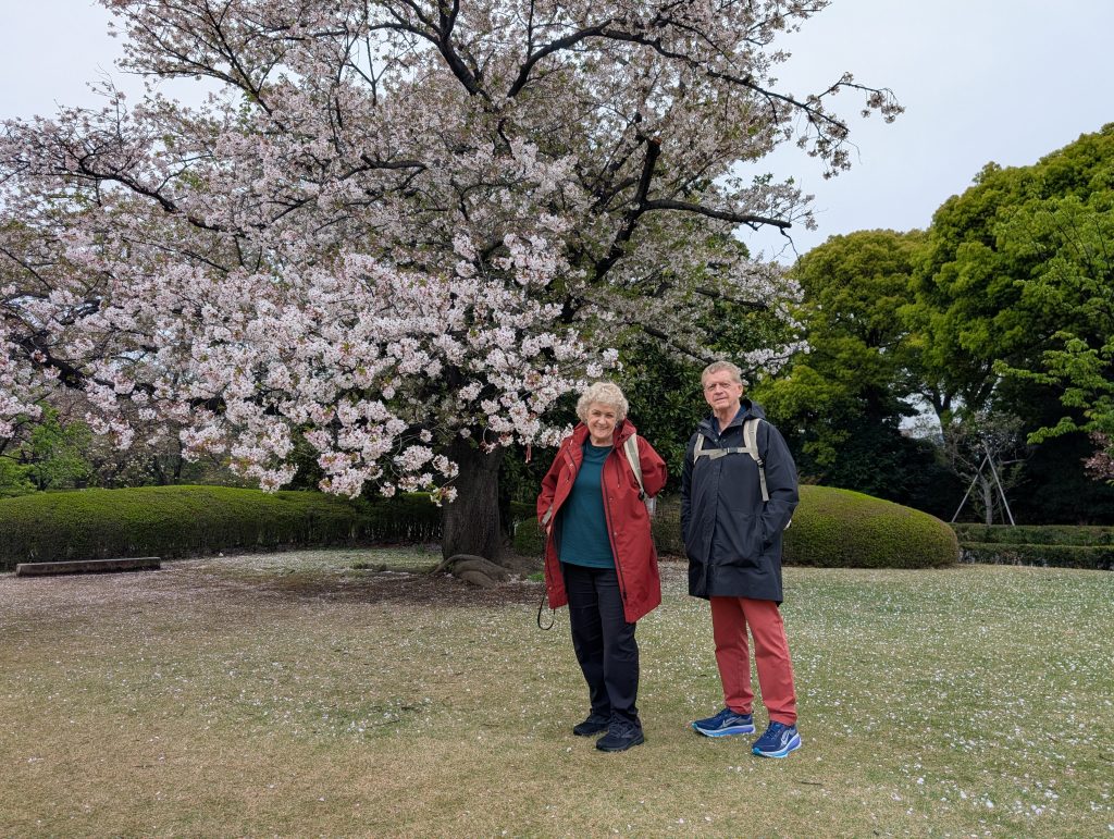 Tokyo Customized Private Tour in 1 Day