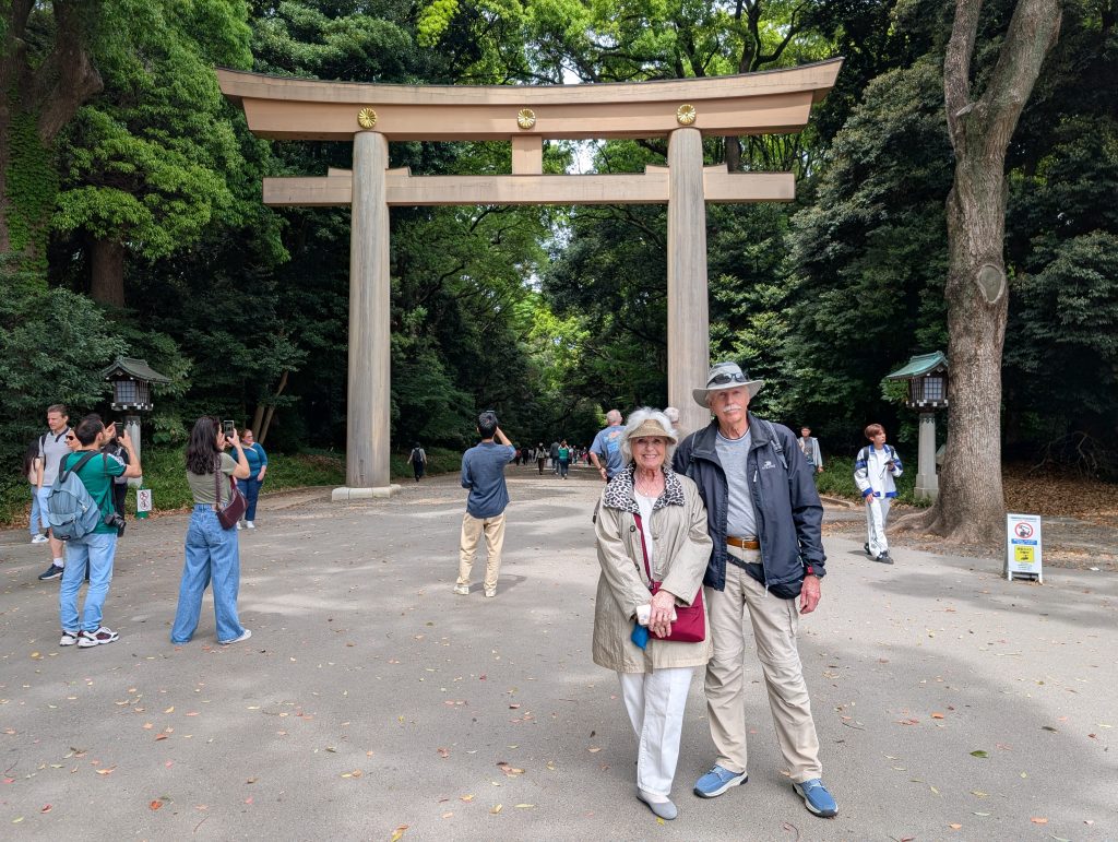 Tokyo Customized Private Tour in 1 Day