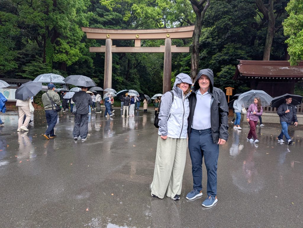Tokyo Customized Private Tour in 1 Day