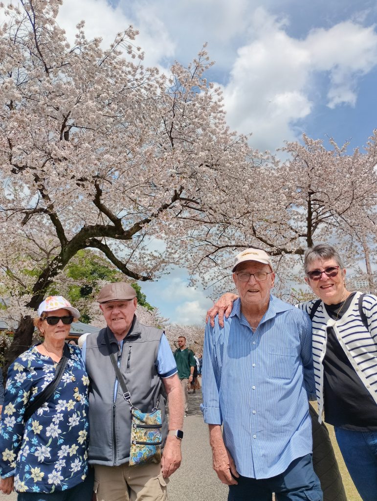 Tokyo in One Day: 2 MEIJI JINGU SHRINE & see off in Shibuya