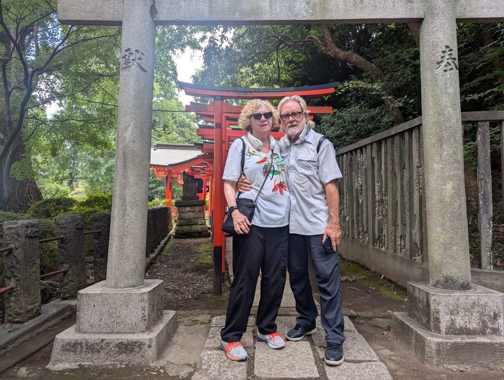 Tokyo Customized Private Tour in 1 Day