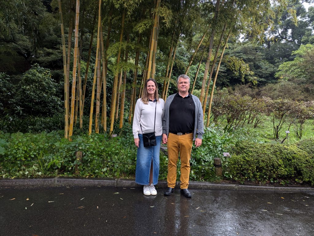 Tokyo Customized Private Tour in 1 Day
