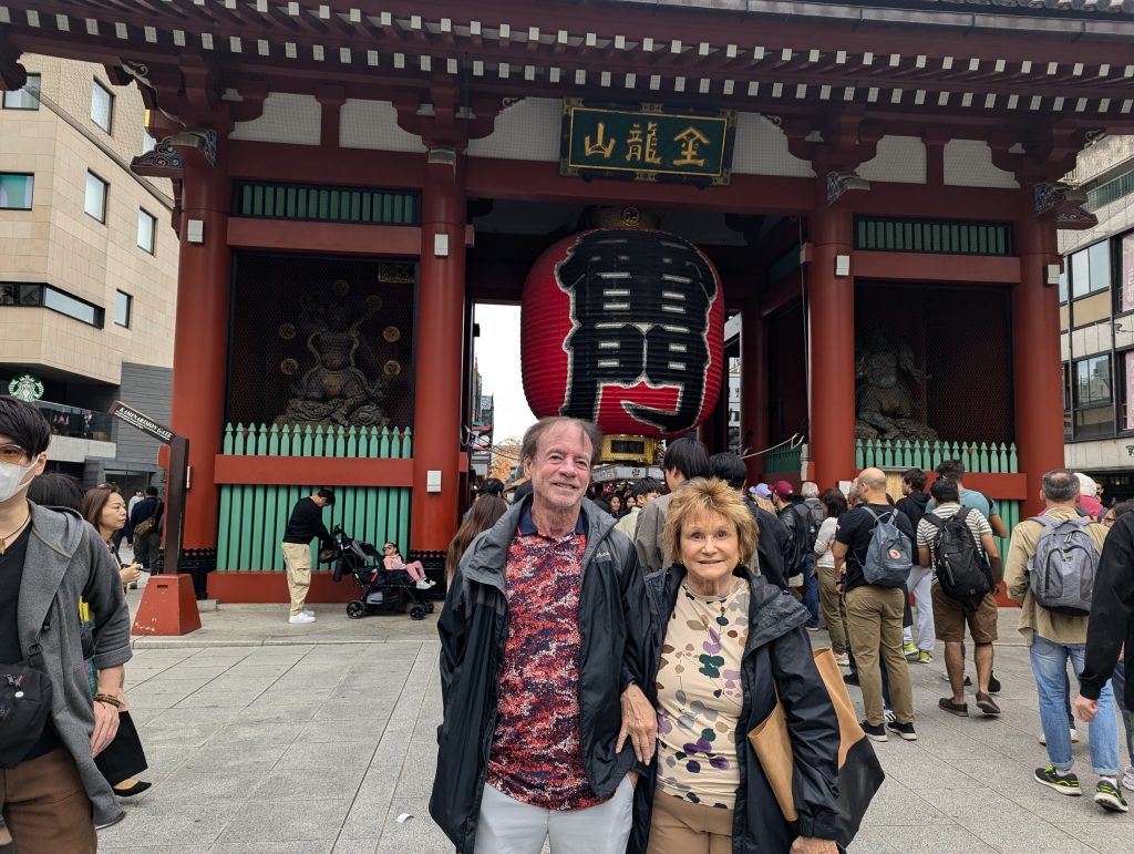 Tokyo Customized Private Tour in 1 Day