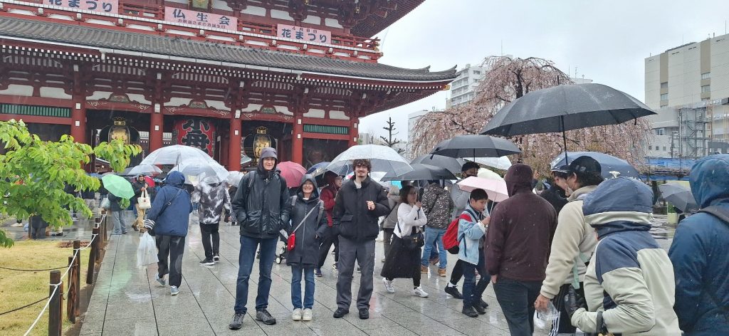 Tokyo in One Day: Meiji Shrine & Imperial Palace