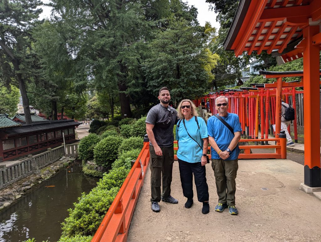 Tokyo in One Day: Nezu Shrine & Meiji Shrine