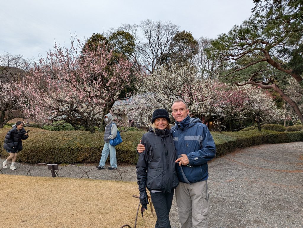 Tokyo in Half a Day: Shinjuku Gyoen & Guide ends