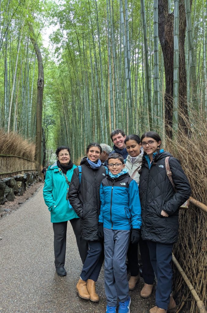 Kyoto in One Day: Fushimi Inari Taisha & Nonomiya Shrine