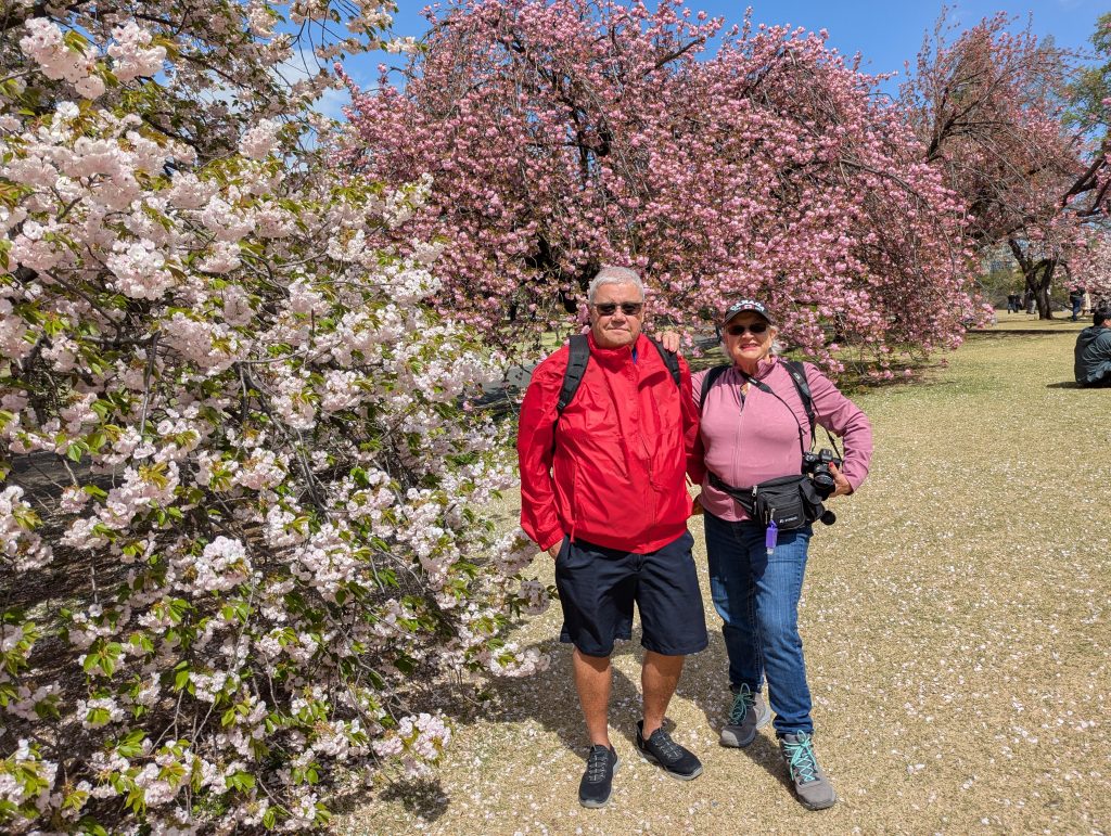 Tokyo in Half a Day: Shinjuku Gyoen & Ginza