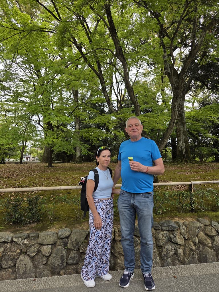 Kyoto in Half a Day: Kyoto Station & Gion (Tour End)