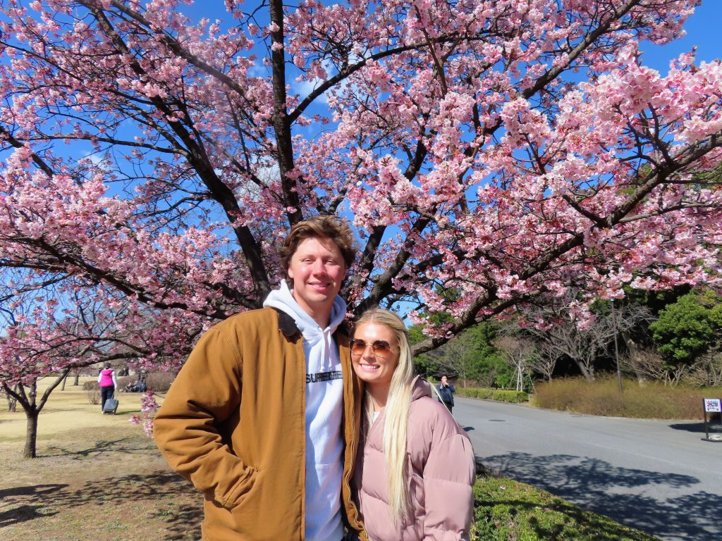 Tokyo in One Day: Asakusa & Meiji Shrine