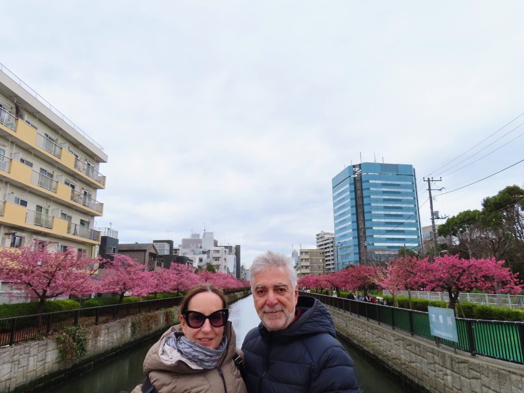 Tokyo in One Day: Kiba & Meiji Shrine