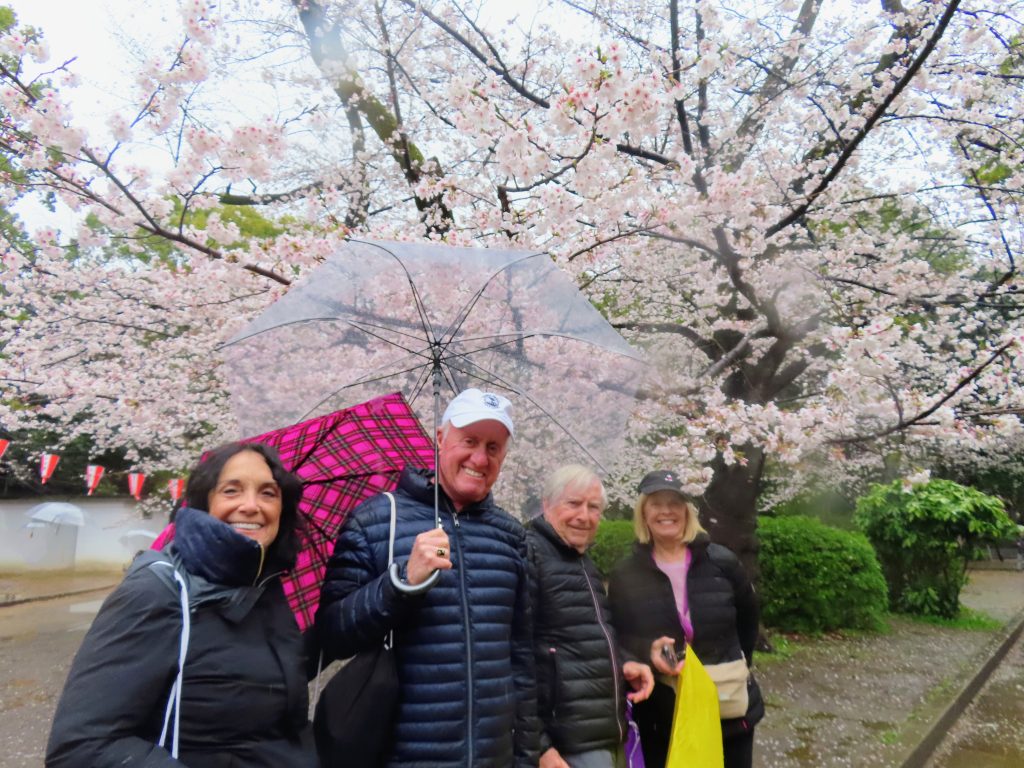 Tokyo in One Day: Ueno Park & Inui-dori Public Opening