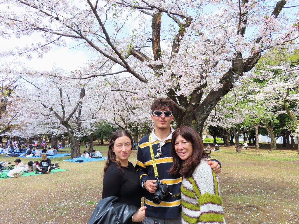 Tokyo in Half a Day: Meiji Shrine & Shibuya