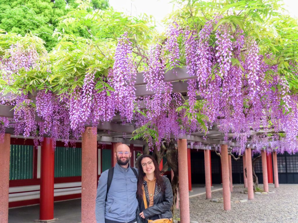 Tokyo in Half a Day: Hie Shrine & Shibuya
