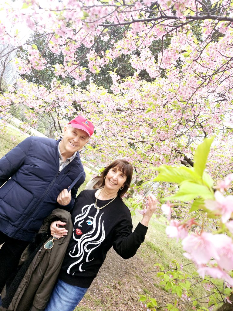 Tokyo in Half a Day: Meiji Shrine & Imperial Palace