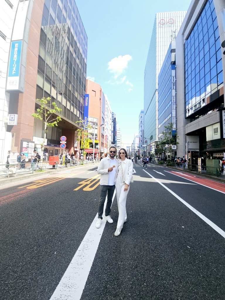 Tokyo in One Day: Asakusa & Walk to Shinjuku Gyoen