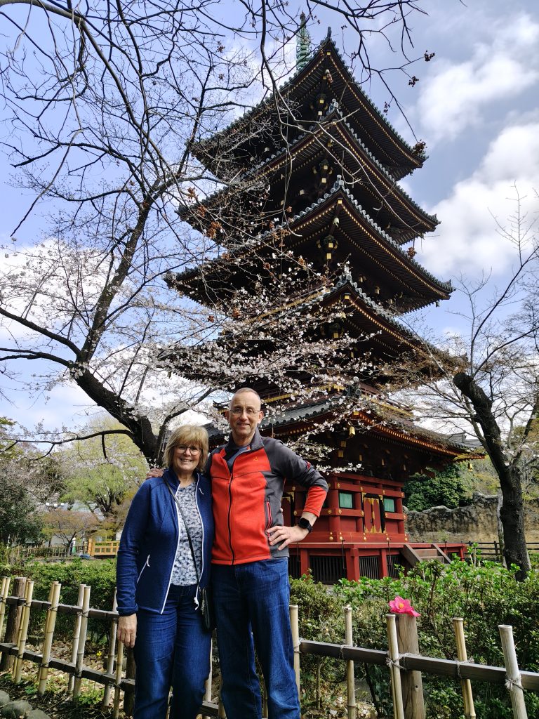 Tokyo in One Day: Ueno Park & Meiji Shrine
