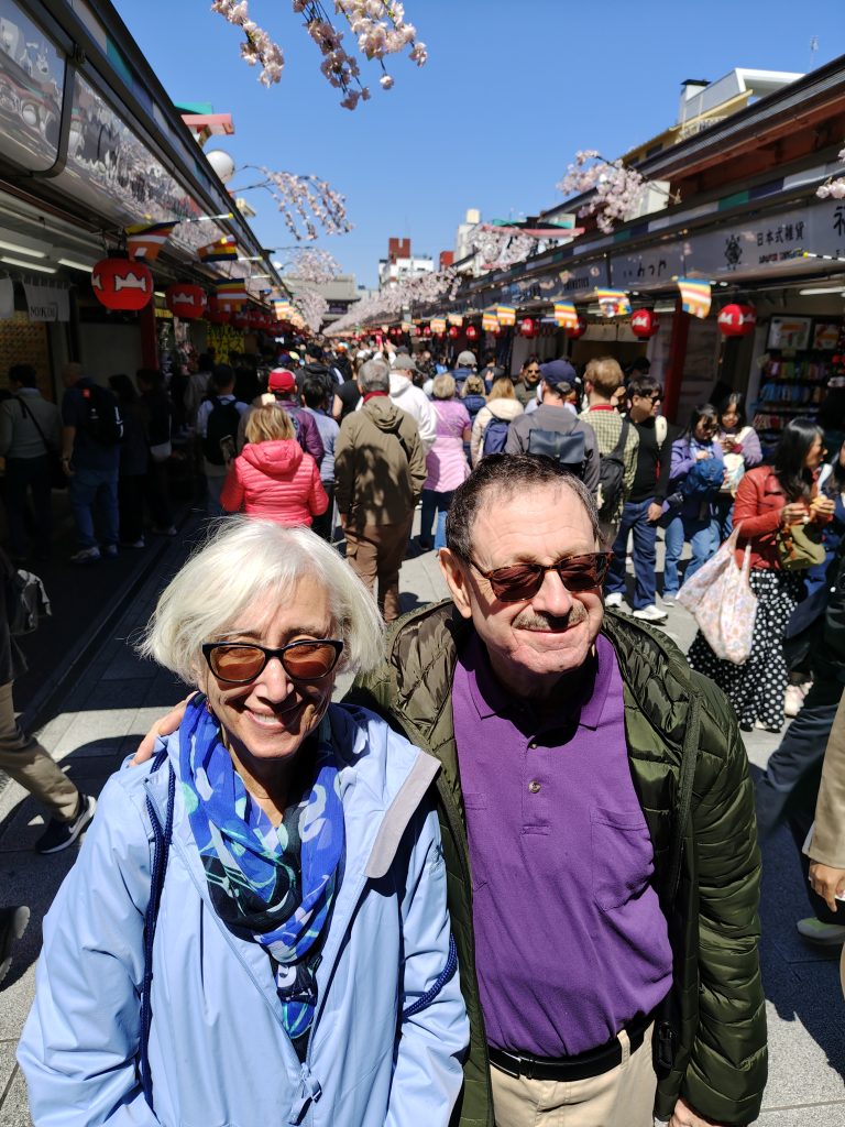 Tokyo in One Day: Meiji Shrine & Ginza