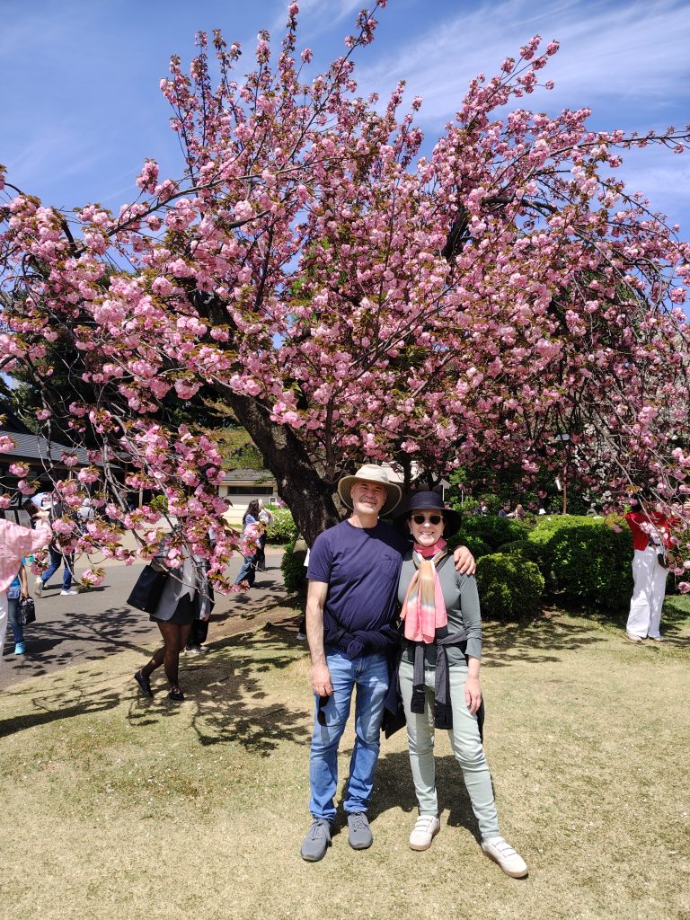 Tokyo in One Day: Meiji Shrine & Kappabashi Shopping Street