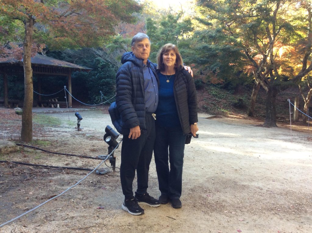 Miyajima Half-Day Customized Tour