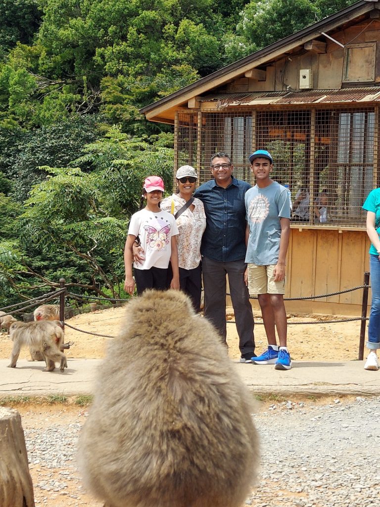 Kyoto: Arashiyama Bamboo Grove Path & Return to accommodation