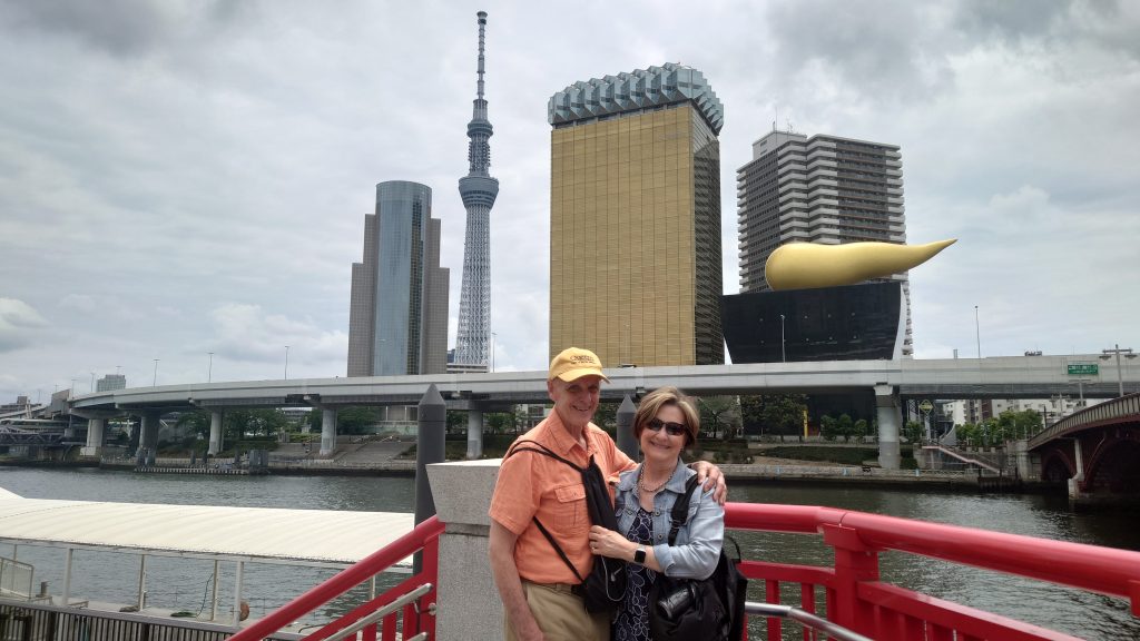 Tokyo Customized Private Tour in 1 Day