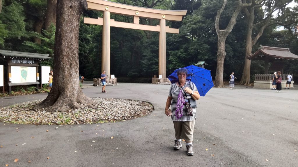 Tokyo Customized Private Tour in 1 Day