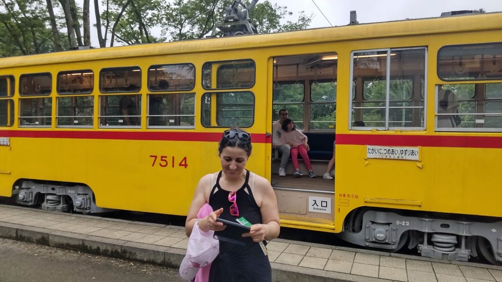 Tokyo Customized Private Tour in 1 Day