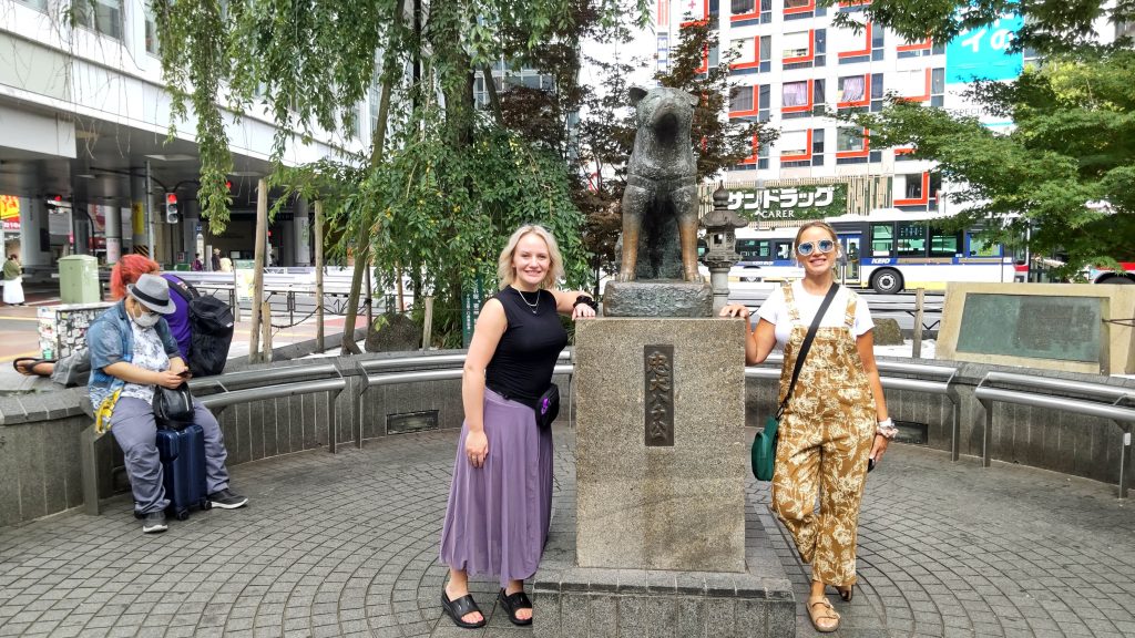 Tokyo Customized Private Tour in 1 Day