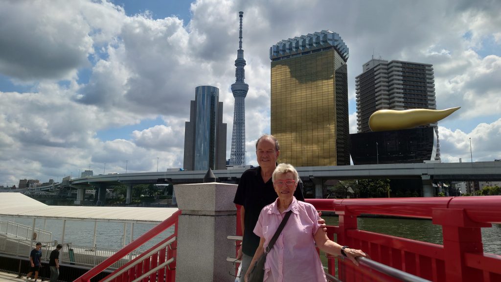 Tokyo Customized Private Tour in 1 Day