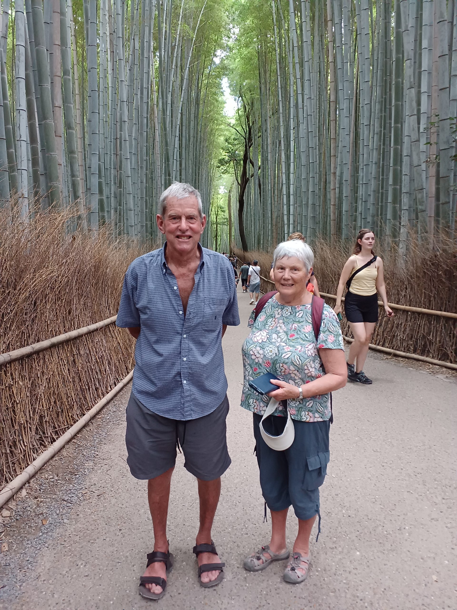Kyoto Customized Private Tour in 1 Day